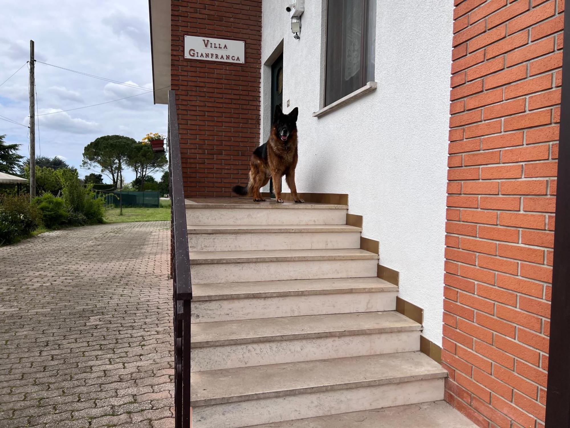 Villa Gianfranca - Sentiti Come A Casa Corno di Rosazzo Exterior foto